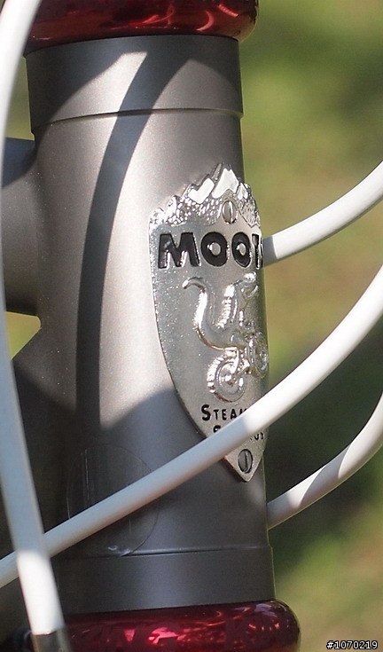 美國種馬~moots~