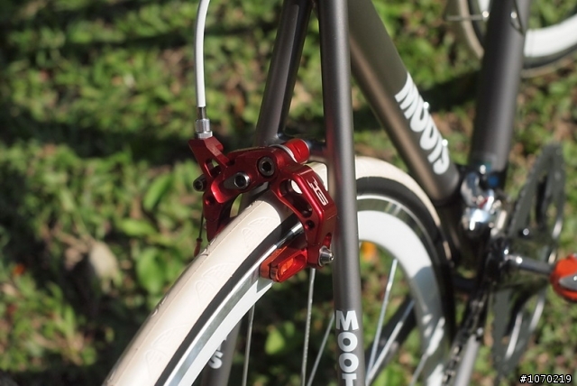 美國種馬~moots~