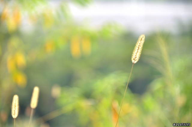 D5000還真是不錯的入門單眼