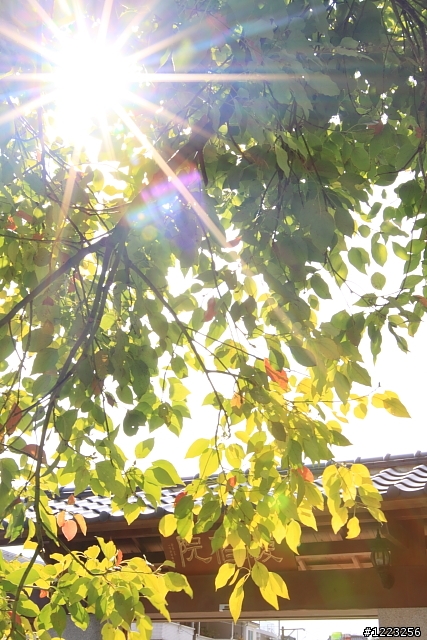 【分享】Canon 16-35mm F2.8II 亂亂拍~