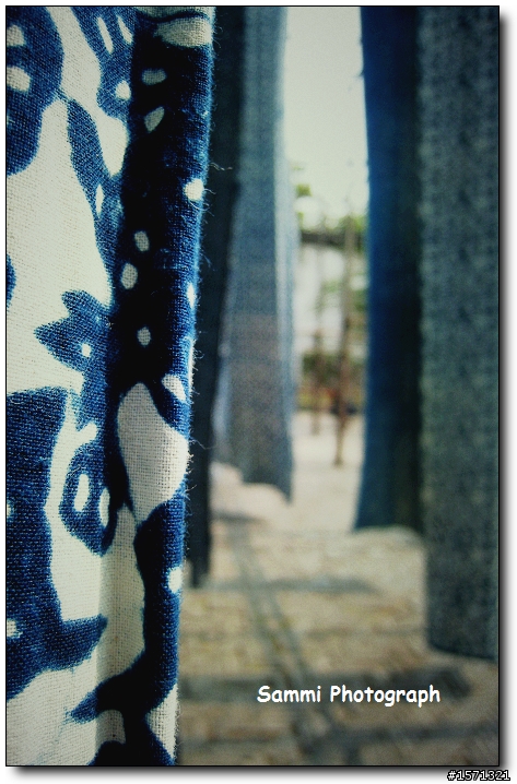 【canon ixus 860is】行動記錄