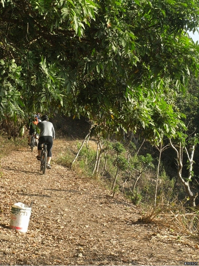 2010.1.31--淚灑小崗山