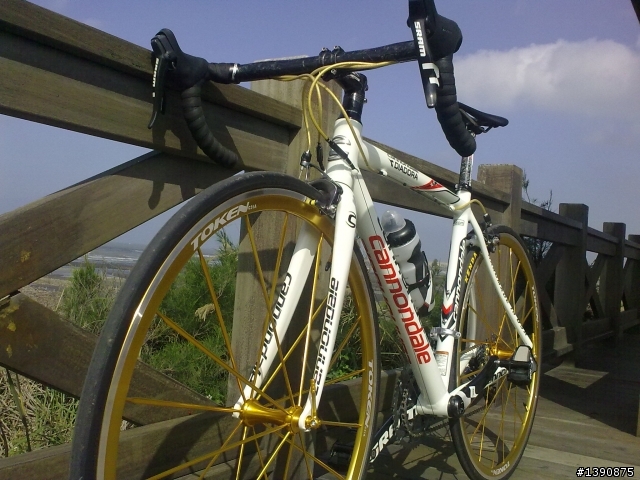 [開箱]限量版 cannondale caad9