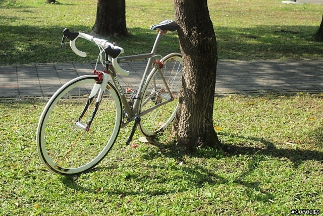美國種馬~moots~