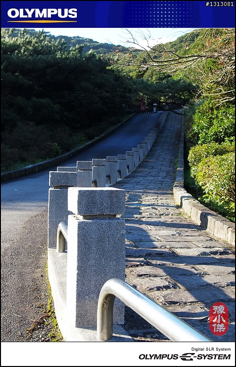 [ 分享 ]  陽明山二仔坪~ 大屯國家公園~ E-P1隨拍~