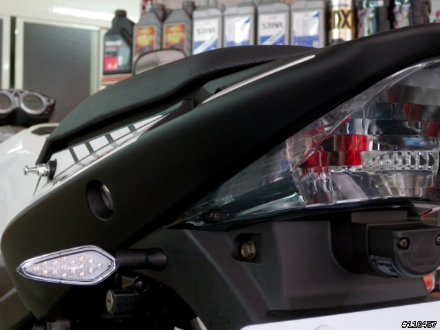 （新增大燈照）非常不專業分享--愛駒NK白龍