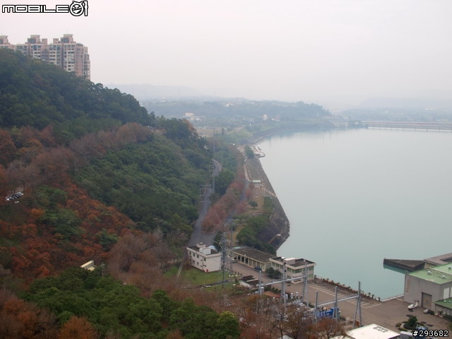 分享 石門水庫賞楓之旅