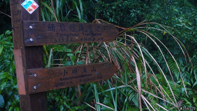 [遊記] 兩鐵限定，桶後越嶺逆騎探路