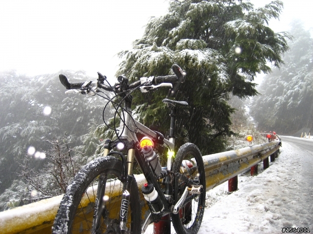 99-01-08 冰封"合歡山"單車賞雪行