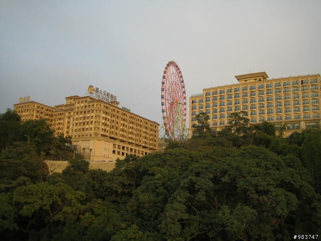 【分享】大樹繞一圈