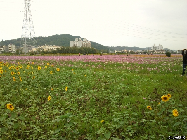 2010.01.01大甲鎮瀾宮&鐵砧山