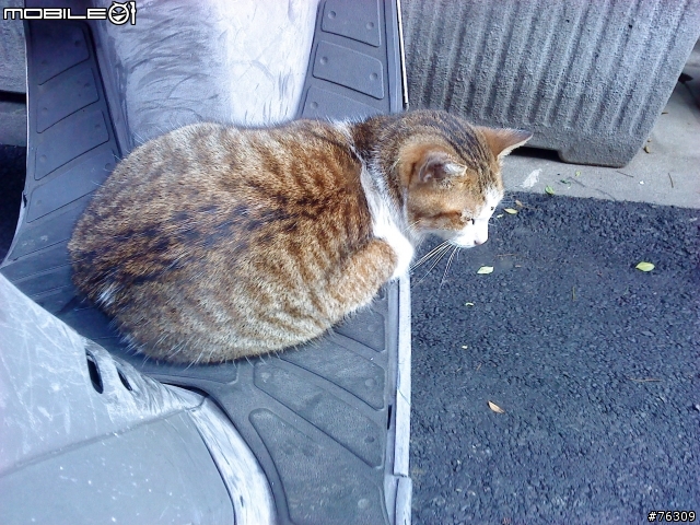 辛酸的開箱文 ... Sony Ericsson T715