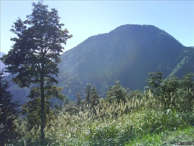 OFF ROAD 卓社林道