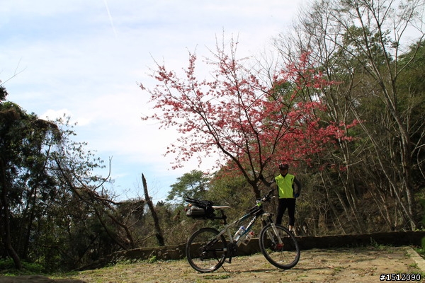 [遊記]摔傷不退，隔週雪見我又來啦!