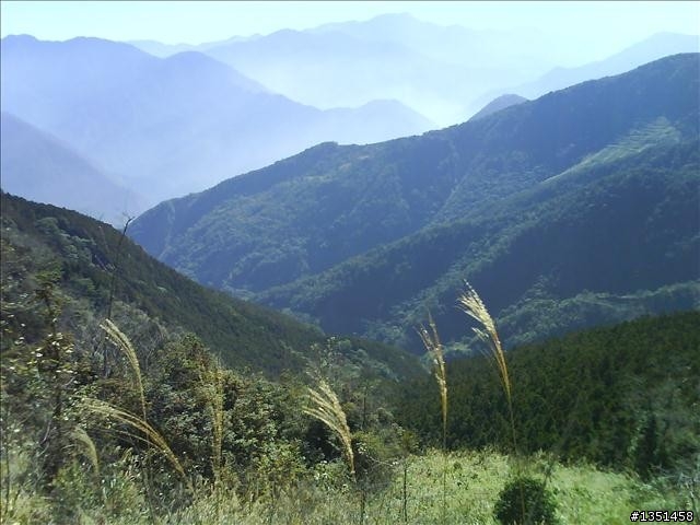 OFF ROAD 卓社林道