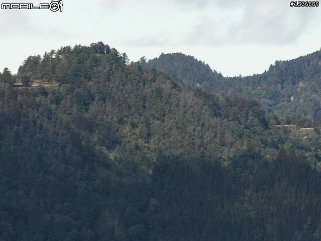 1/30 挑戰阿里山塔塔加一日來回 (文冗圖多請見諒)