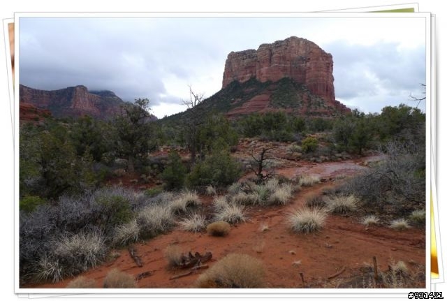 2010春節美西Arizona,Flagstaff,Las Vegas,Sedona大暴走