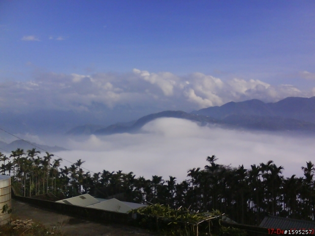 20091217雲林古坑十字關至嘉義梅山太平雲海遊