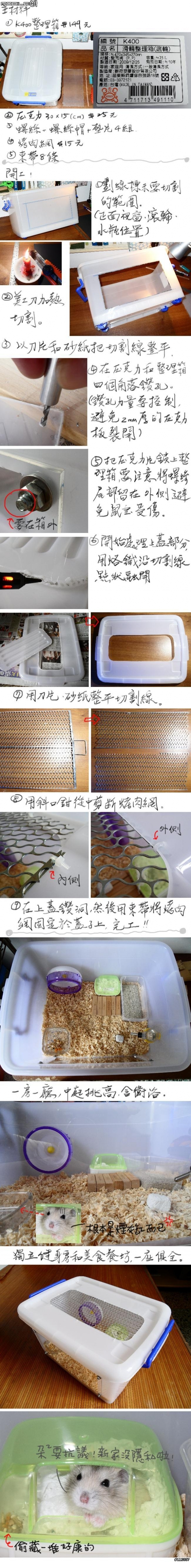 [DIY]朵朵的新家（性別已確認）