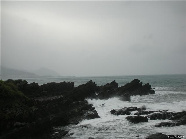 牽手環島千里行