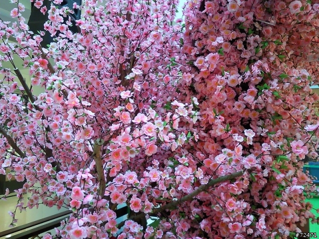 2010 恭喜發財，香港新春第一篇 ”桃花源記” BY三星 i8000