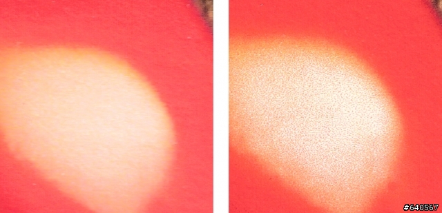 Epson UltraChrome HDR vs HP Vivera 12墨水評比