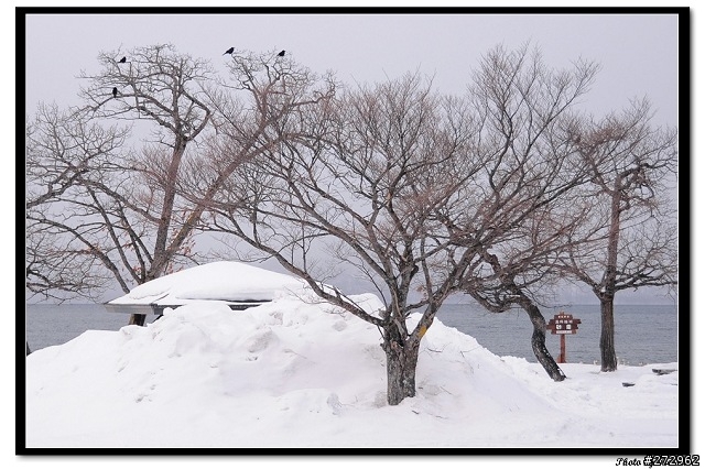 北海道冰天雪地跟團之旅：Day 2  網走、屈斜路湖、阿寒湖
