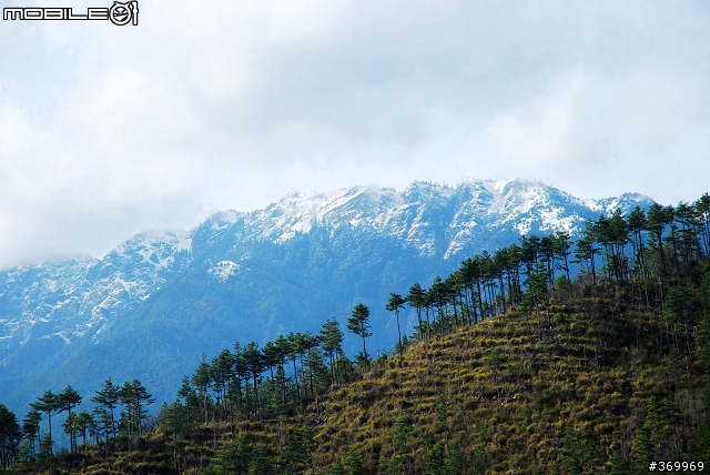 20100221 年少輕狂，合歡山賞雪之旅。(圖多、文多)