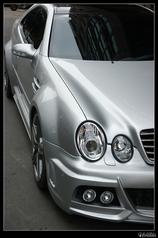 我家巷口驚見寬體猛獸?