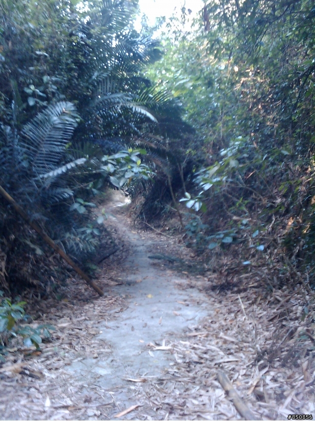 [分享]彰化的offroad路線現況