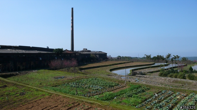 [遊記] 2010 三芝櫻木花道-單車賞櫻..(google地圖街景利用)