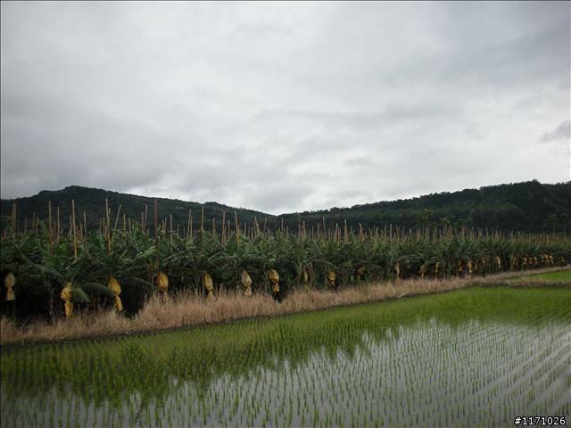 牽手環島千里行