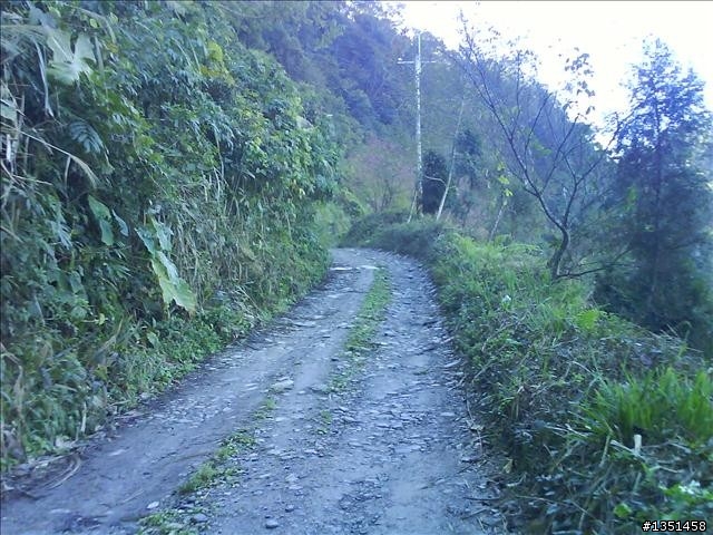 OFF ROAD 卓社林道