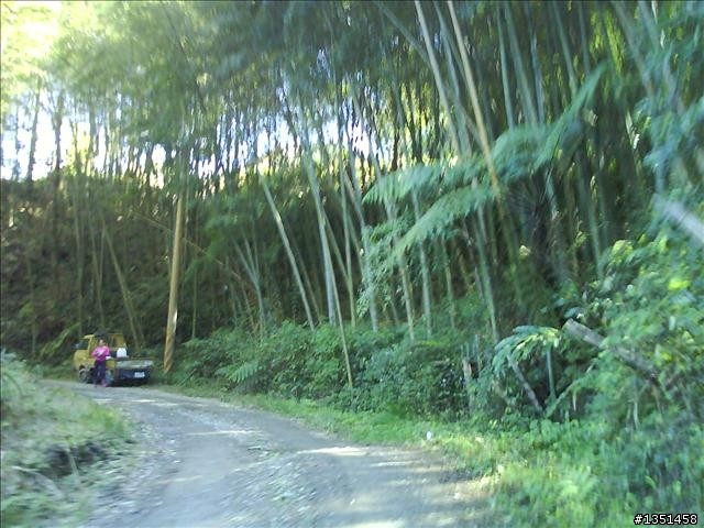 OFF ROAD 卓社林道