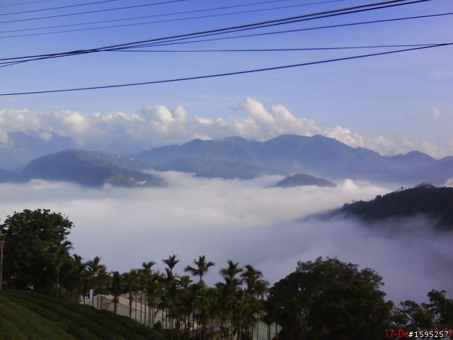 20091217雲林古坑十字關至嘉義梅山太平雲海遊