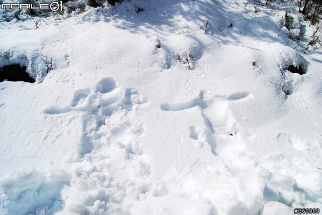 20100221 年少輕狂，合歡山賞雪之旅。(圖多、文多)