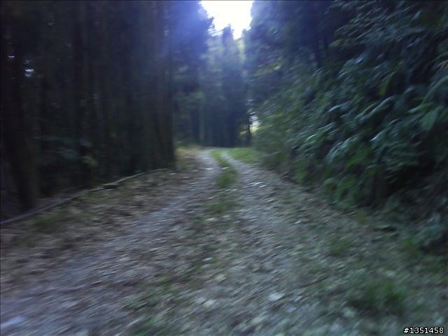 OFF ROAD 卓社林道