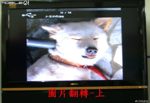 [分享]兆赫液晶LM-4218P不專業開箱文-可上網-內建8000系列功能