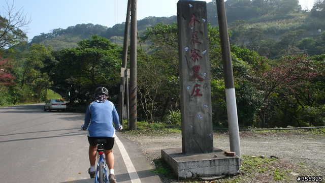 [遊記] 2010 三芝櫻木花道-單車賞櫻..(google地圖街景利用)