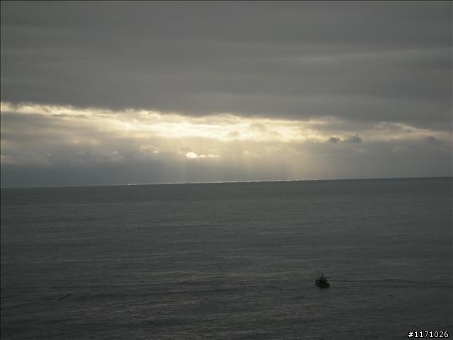 牽手環島千里行