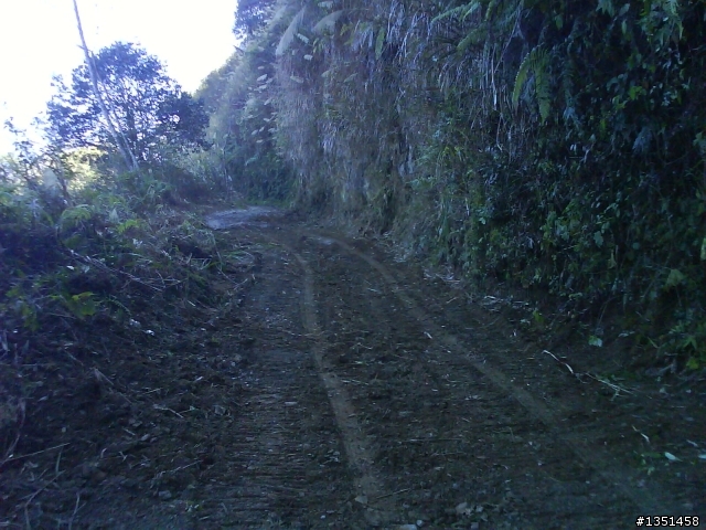OFF ROAD 卓社林道