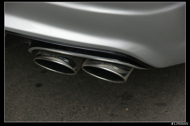 我家巷口驚見寬體猛獸?