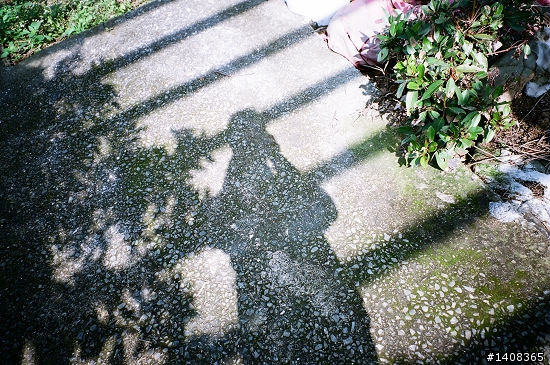 CONTAX TVS III + REALA ACE