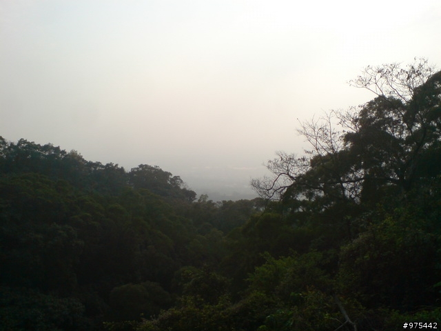 剛剛去探的新路(楠雅村)