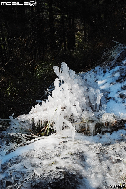 20100221 年少輕狂，合歡山賞雪之旅。(圖多、文多)