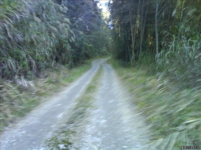 OFF ROAD 卓社林道