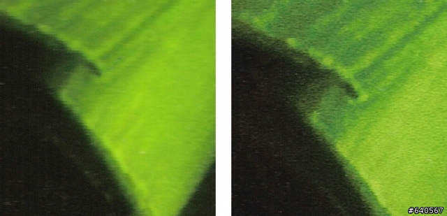 Epson UltraChrome HDR vs HP Vivera 12墨水評比