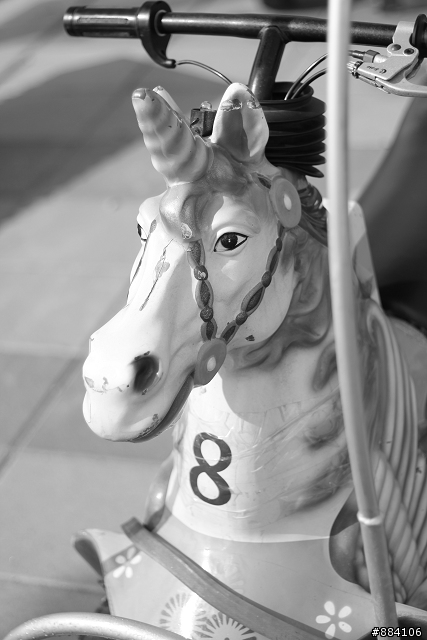 550D + 50mm F/1.8 II 新手初照