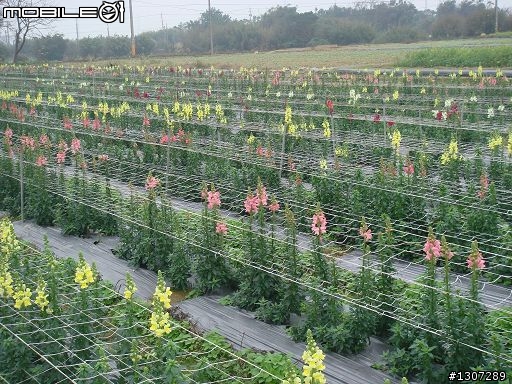 [分享自助式修這修那篇]非常不專業分享DIY修補、修車記。