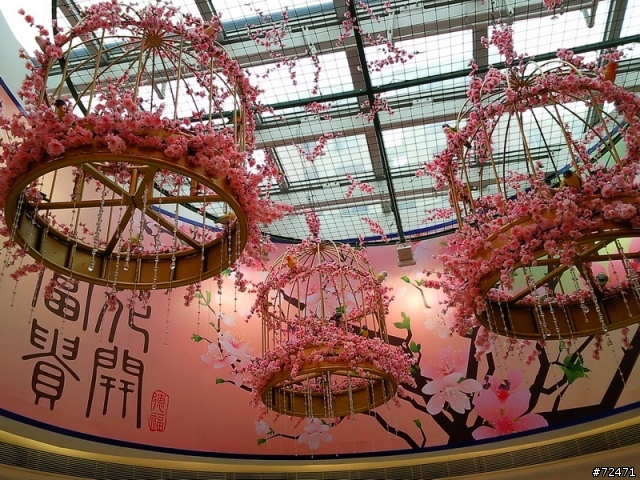 2010 恭喜發財，香港新春第一篇 ”桃花源記” BY三星 i8000